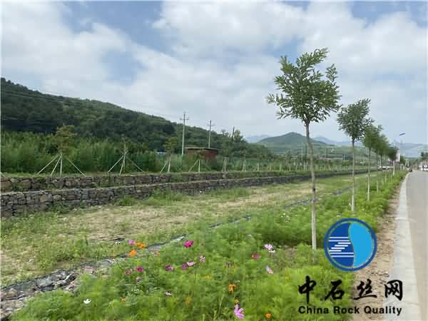 微信圖片_202007291443034.jpg